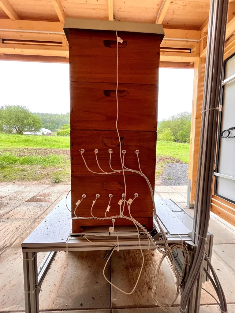 Rückseite des sensorischen Bienenstocks