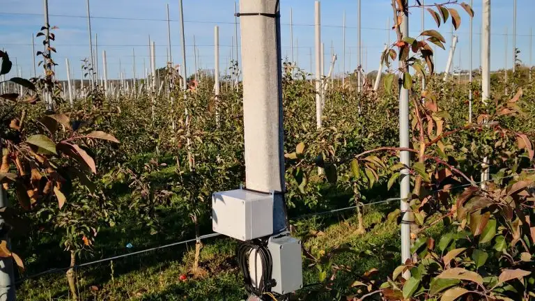 Apfelplantage dazwischen Säule mit Kästen