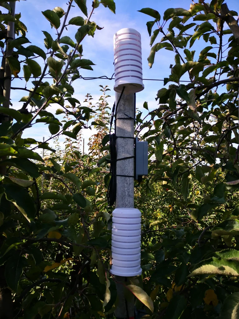 Sensorik in Apfelbäumen