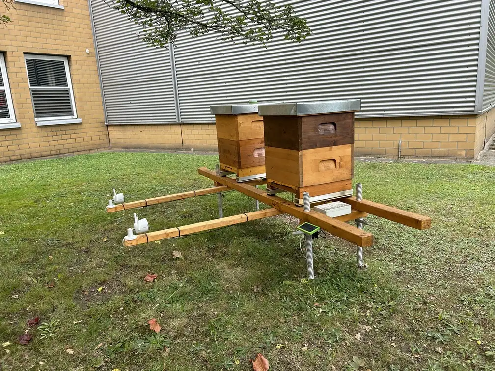 Standort der Bienenstöcke