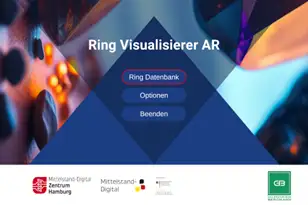 Screenshot: Software-Prototyp des Ring-Visualisierers