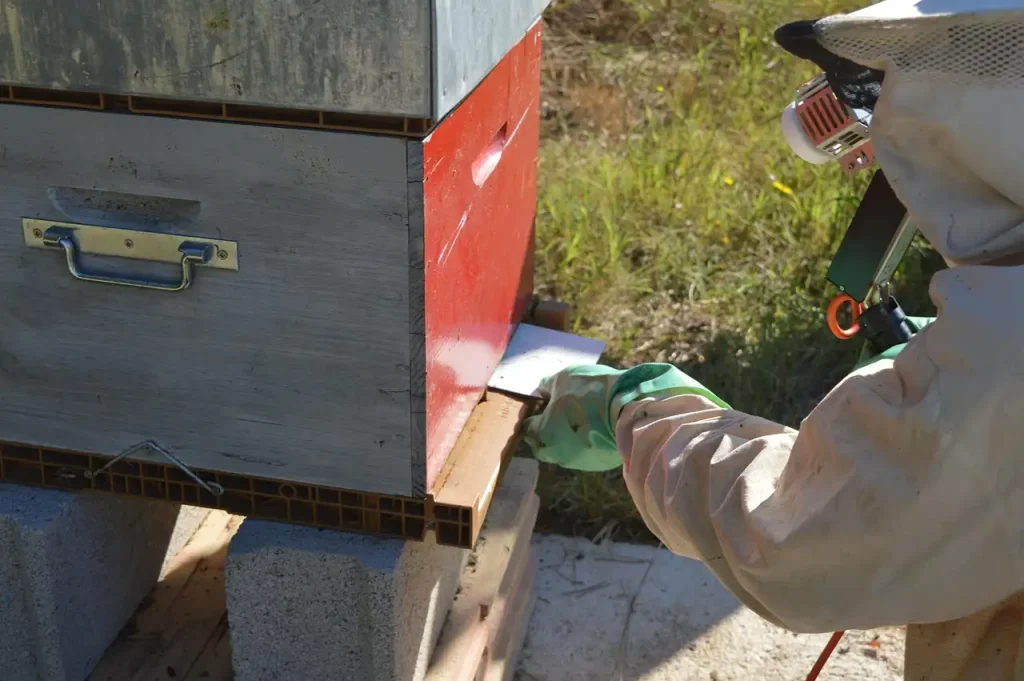 Bild: Entnahme der Proben aus dem Bienenstock