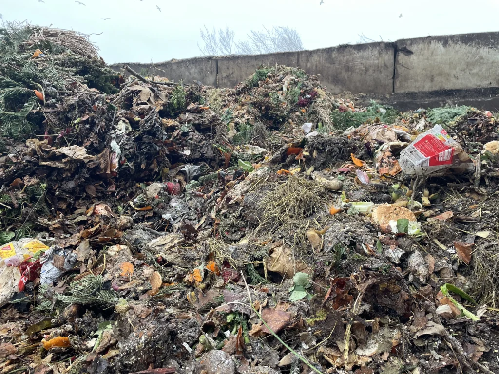 Lagernde Bioabfälle mit sichtbaren Fehlwürfen